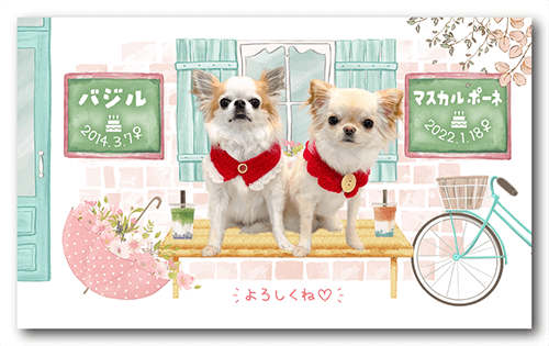 ペット名刺の表面画像