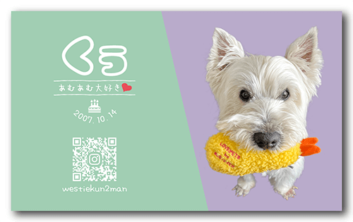 ペット名刺の裏面画像