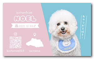 犬のペット名刺