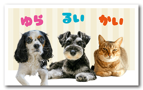 ペット名刺の表面画像