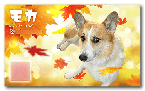 犬の長方形ペット名刺画像