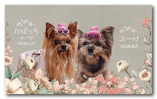 長方形ペット名刺の表面画像