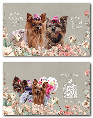 犬のペット名刺