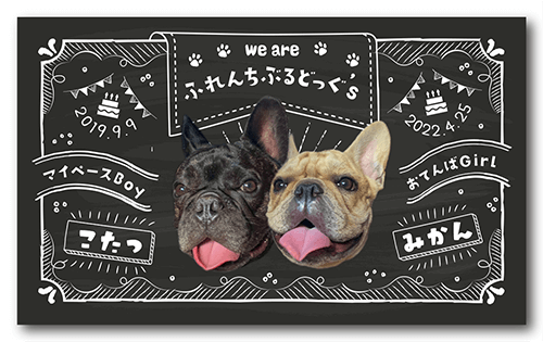 長方形ペット名刺の表面画像