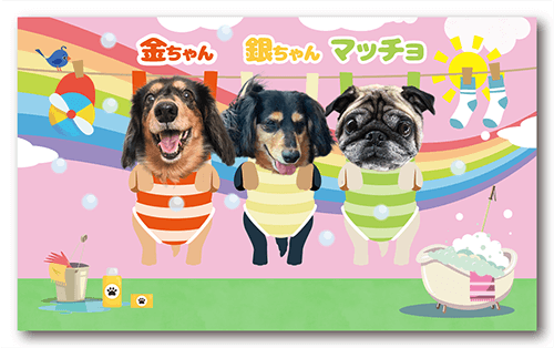 長方形ペット名刺の裏面画像