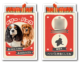 ペンギンのペット名刺