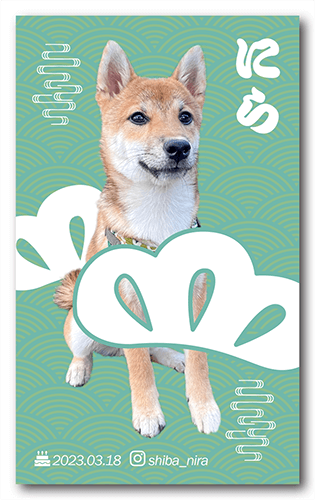 犬の長方形ペット名刺画像