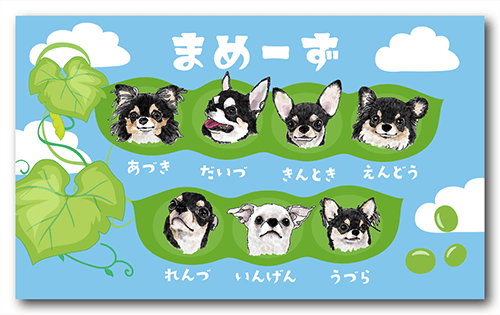 長方形ペット名刺の表面画像