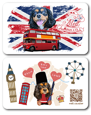 犬のペット名刺