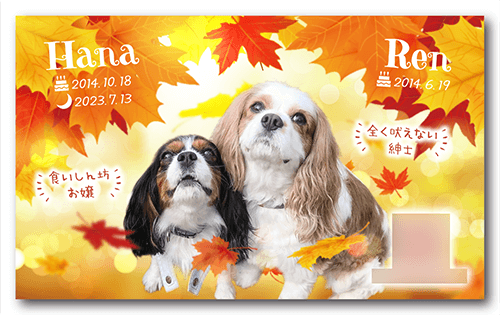犬の長方形ペット名刺画像