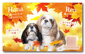 犬のペット名刺