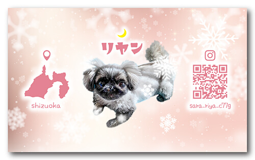 ペット名刺の裏面画像