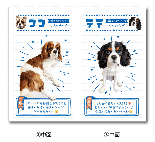 2つ折り型抜きペット名刺の中面画像
