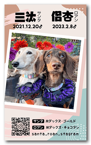 犬の長方形ペット名刺画像