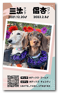 犬のペット名刺