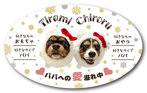 型抜きペット名刺の表面画像