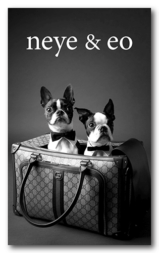 長方形ペット名刺の表面画像