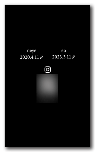 長方形ペット名刺の裏面画像