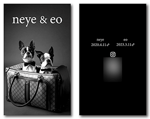 犬のペット名刺