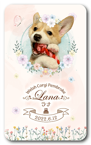 長方形ペット名刺の表面画像