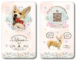 犬のペット名刺