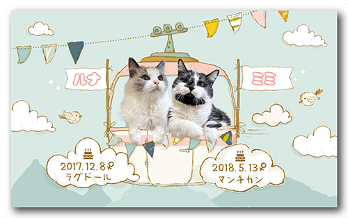 ペット名刺の表面画像