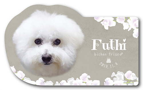 型抜きペット名刺の表面画像