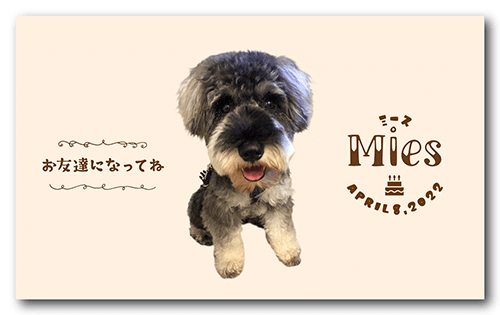 長方形ペット名刺の裏面画像