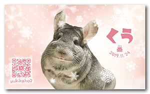 チンチラのペット名刺