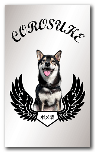 長方形ペット名刺の表面画像