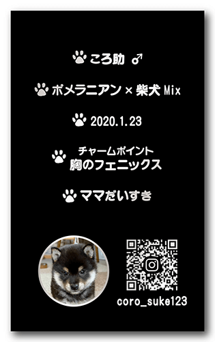 長方形ペット名刺の裏面画像