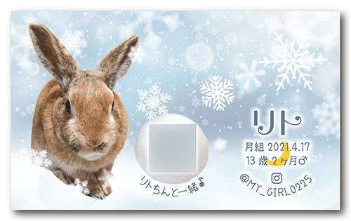 うさぎの長方形ペット名刺画像