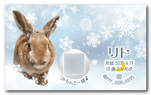 うさぎのペット名刺