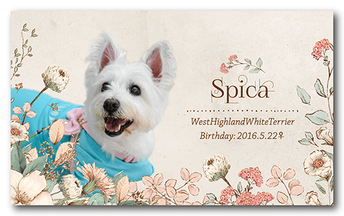 長方形ペット名刺の表面画像