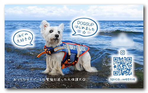 長方形ペット名刺の裏面画像