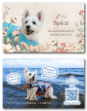 犬のペット名刺