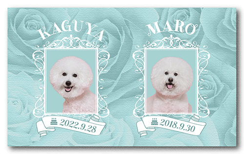 長方形ペット名刺の表面画像