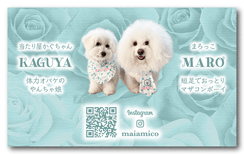 長方形ペット名刺の裏面画像