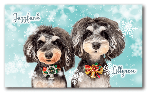 ペット名刺の表面画像