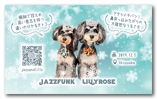 ペット名刺の裏面画像