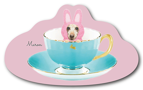 型抜きペット名刺の表面画像