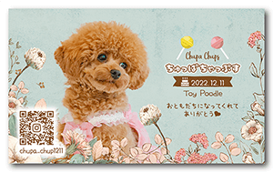 犬のペット名刺