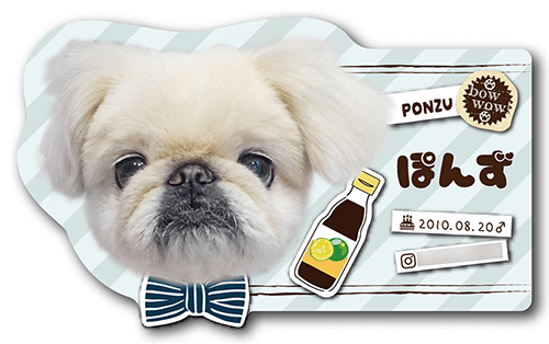 型抜きペット名刺画像