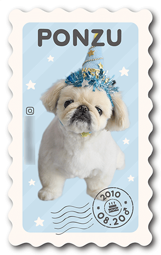 型抜きペット名刺画像