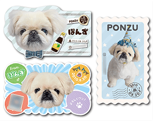 犬のペット名刺