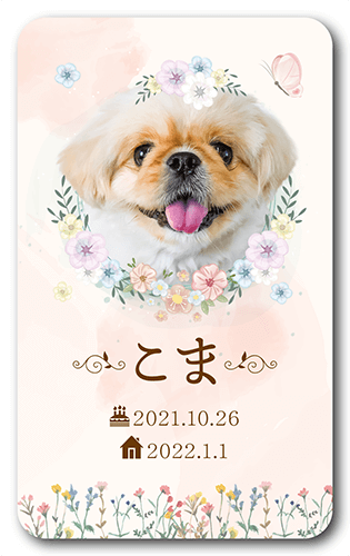 ペット名刺の表面画像