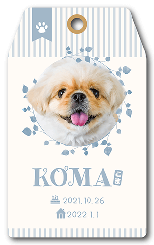 ペット名刺の表面画像