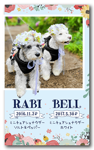 長方形ペット名刺の表面画像