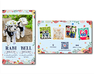 犬のペット名刺