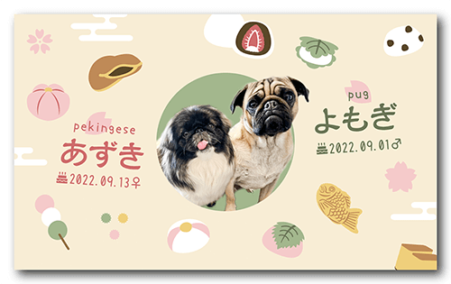 長方形ペット名刺の表面画像